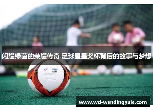 闪耀绿茵的荣耀传奇 足球星星奖杯背后的故事与梦想