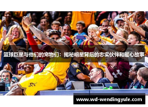 篮球巨星与他们的宠物们：揭秘明星背后的忠实伙伴和暖心故事